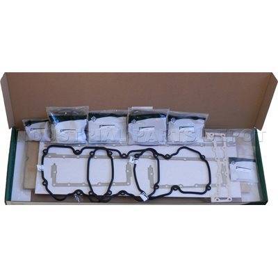 IPD - IPD GASKET SET, OUT-OF-FRAME 48 - C15031NLS