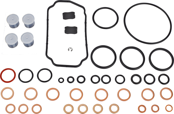 Denso - 096010-0561 | OVERHAUL KIT