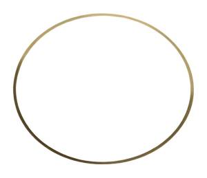 Interstate-McBee Shim - 0.062 Liner Brass - A-S60-62 SHIM