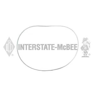 Interstate-McBee Seal - Ring - Planetary - M-7G4817