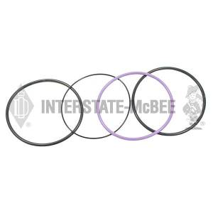 Interstate-McBee Kit - Liner Seal - M-270950