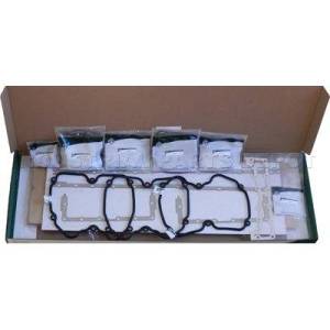 IPD GASKET SET, OUT-OF-FRAME 48 - C15031NLS