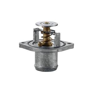 AP63496 | Thermostat, Ford 6.0L