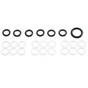 AP0025 | High-Pressure Oil Rail Seal Kit