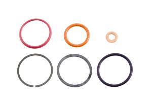 AP0001 | Injector Seal Kit, HEUI