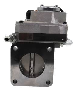 AP63578 | Exhaust Gas Recirculation (EGR) Valve